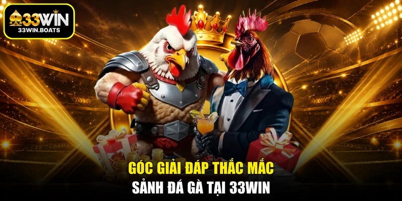 Góc giải đáp thắc mắc sảnh đá gà tại 33WIN